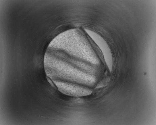 X0000088430421200706191237