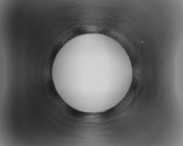 X0000088430422200706191237