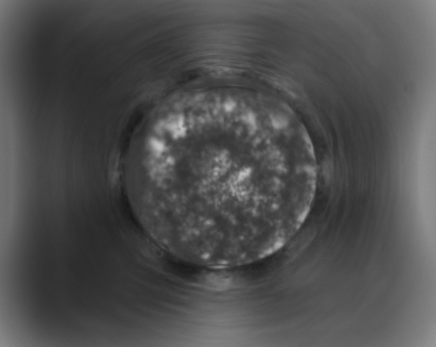X0000088430423200706191237