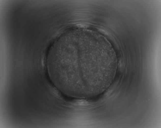 X0000088430424200706191237