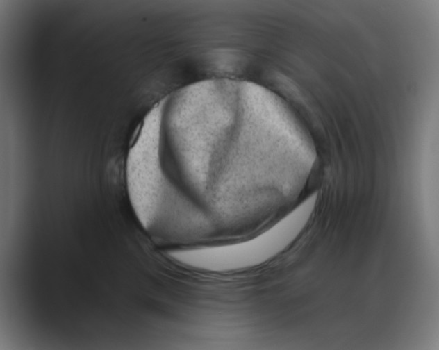 X0000088430425200706191237