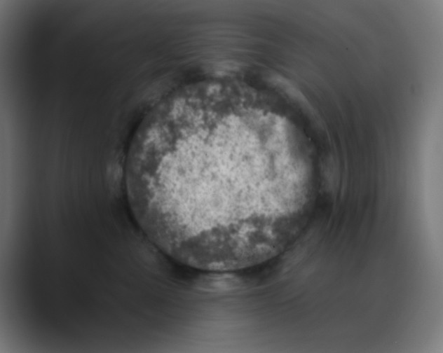 X0000088430427200706191237