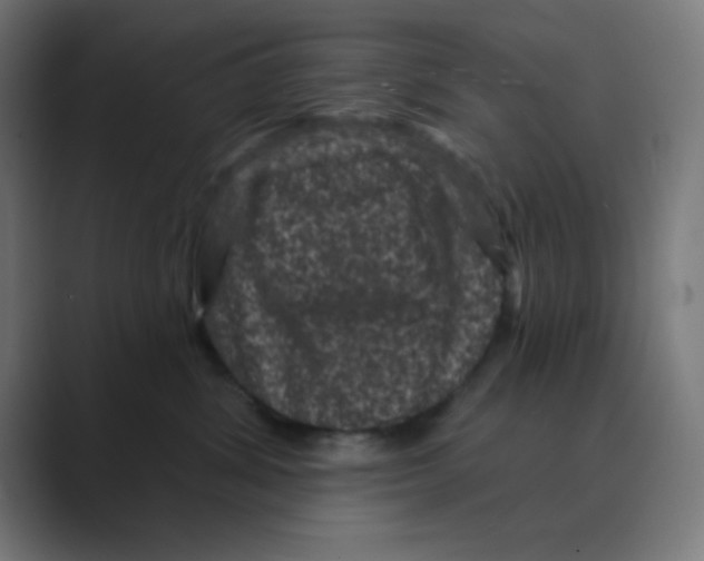 X0000088430428200706191237