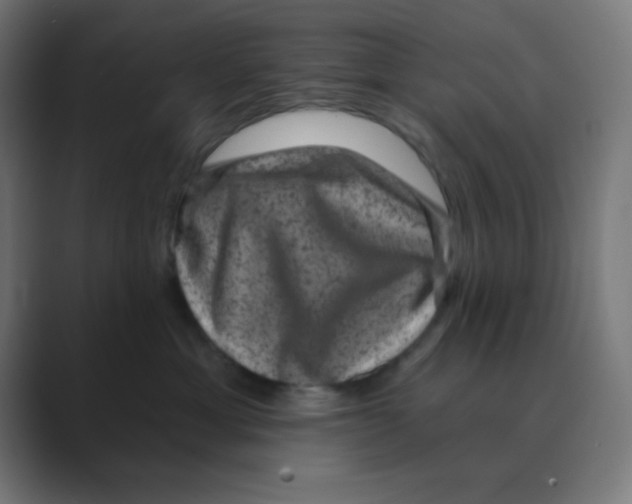X0000088430429200706191237