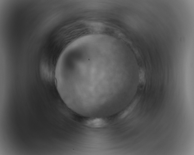 X0000088430431200706191237