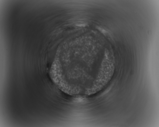 X0000088430432200706191237