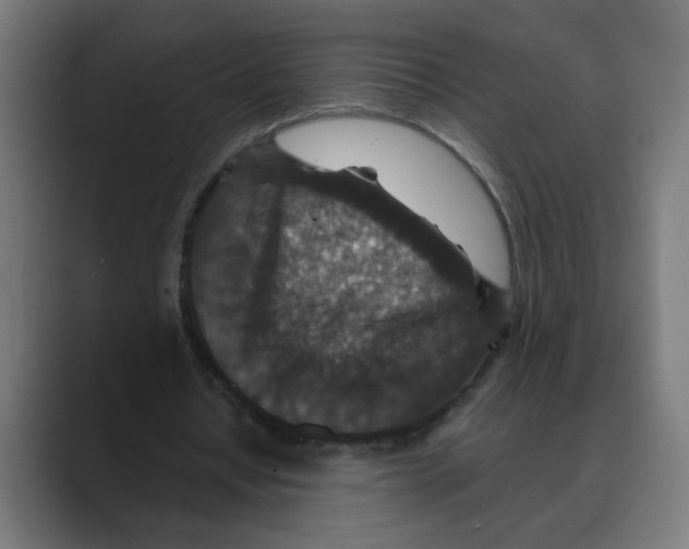 X0000088430434200706191237