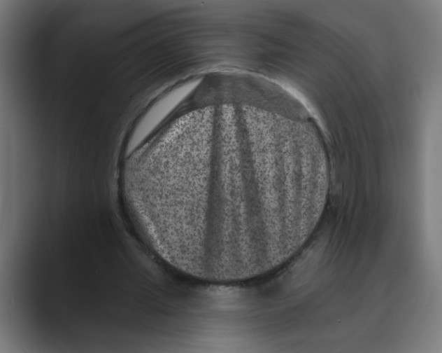 X0000088430437200706191237