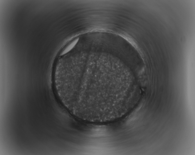 X0000088430438200706191237
