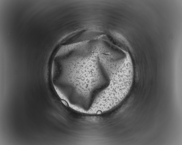 X0000088430439200706191237