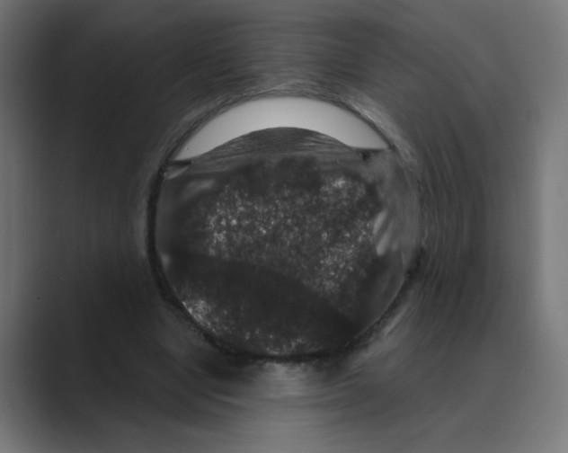 X0000088430442200706191237