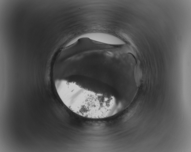 X0000088430443200706191237