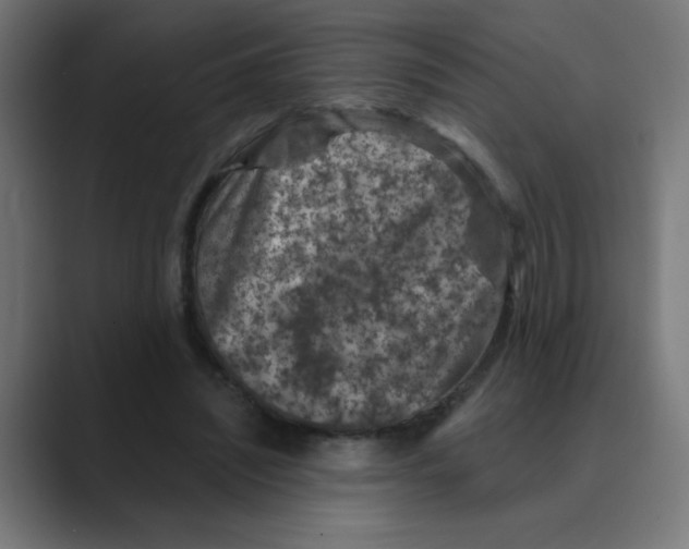 X0000088430444200706191237