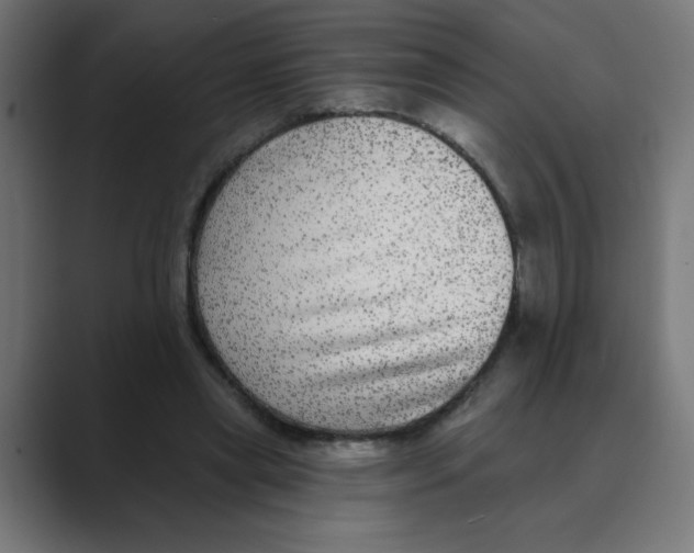 X0000088430445200706191237