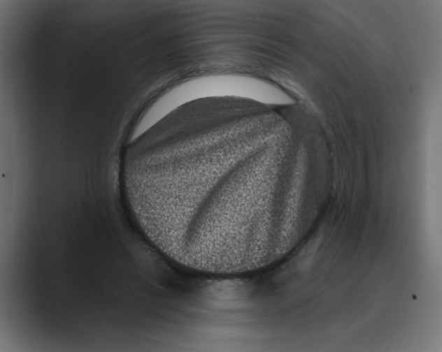 X0000088430446200706191237
