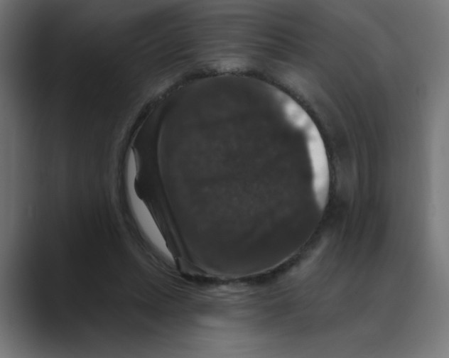 X0000088430447200706191237