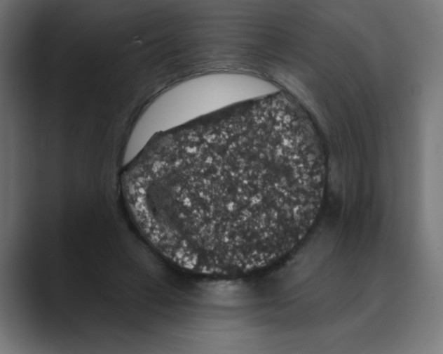 X0000088430449200706191237
