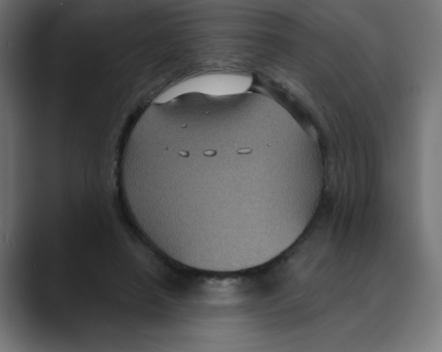 X0000088430450200706191237