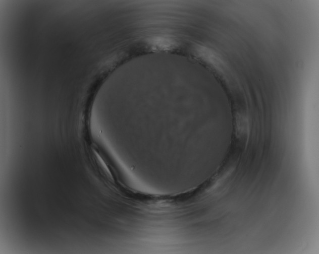 X0000088430451200706191237