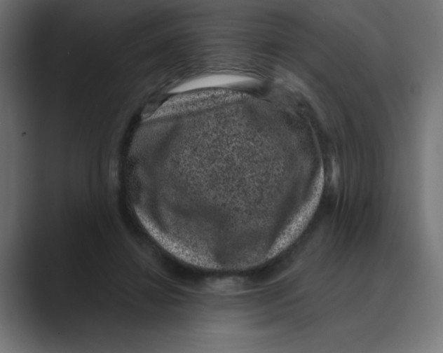X0000088430452200706191237