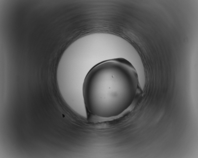 X0000088430456200706191237