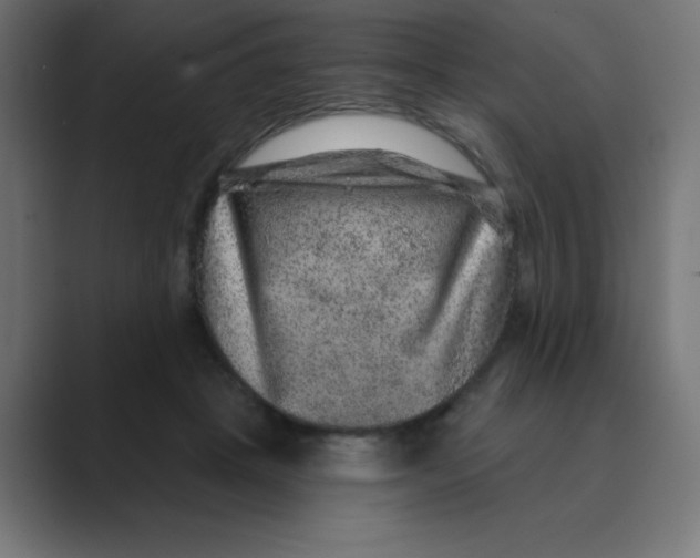 X0000088430457200706191237