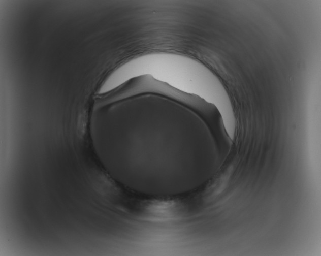 X0000088430458200706191237