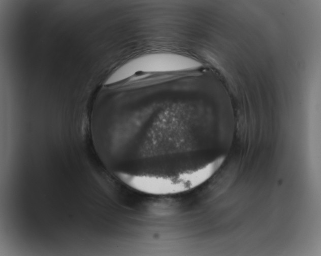 X0000088430459200706191237