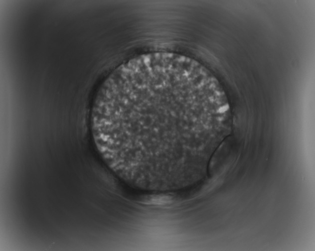 X0000088430462200706191237