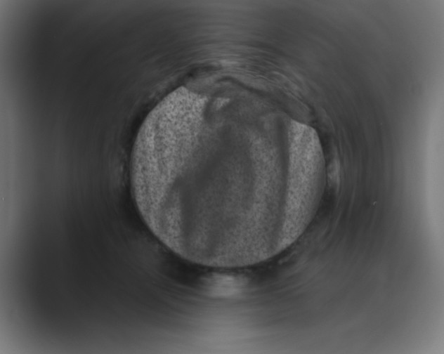 X0000088430464200706191237