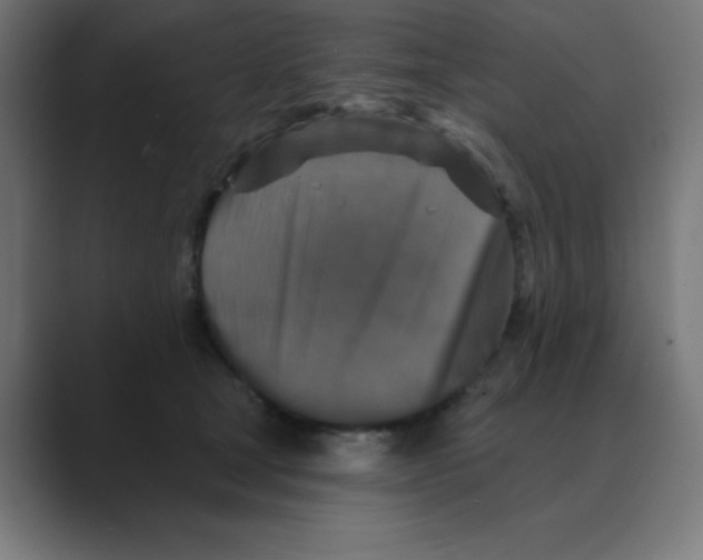 X0000088430465200706191237