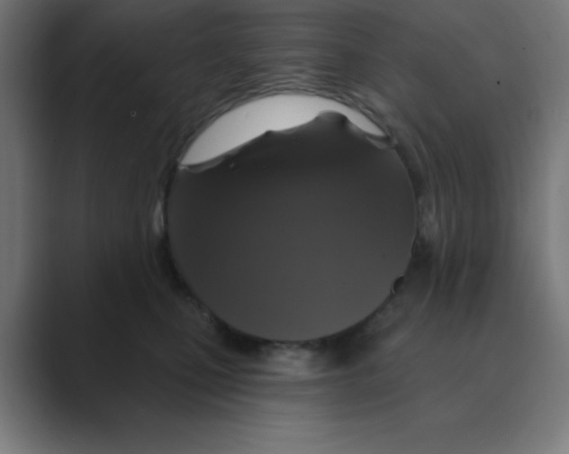 X0000088430471200706191237