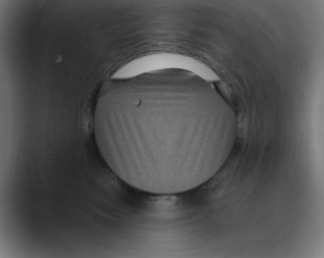 X0000088430474200706191237