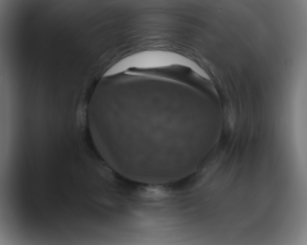 X0000088430475200706191237