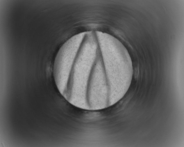 X0000088430476200706191237