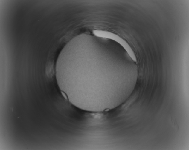 X0000088430478200706191237