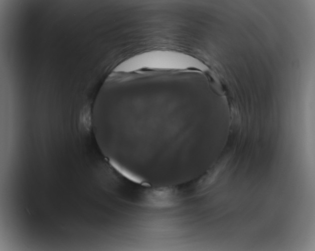 X0000088430479200706191237