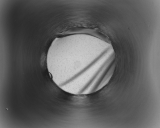 X0000088430480200706191237