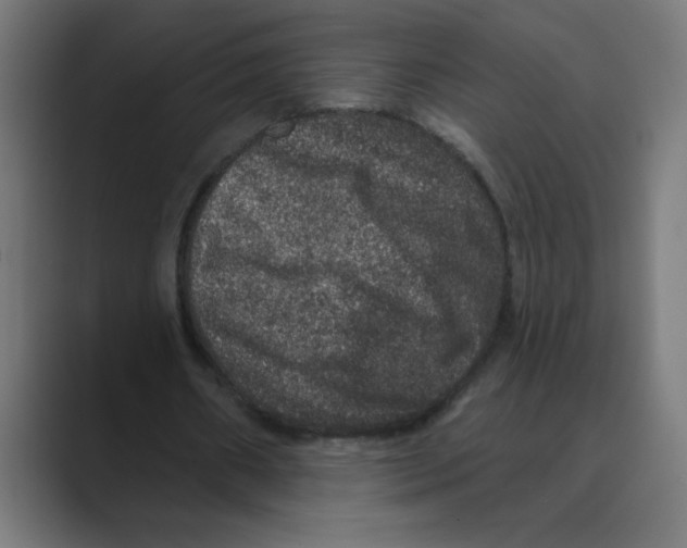X0000088430482200706191237