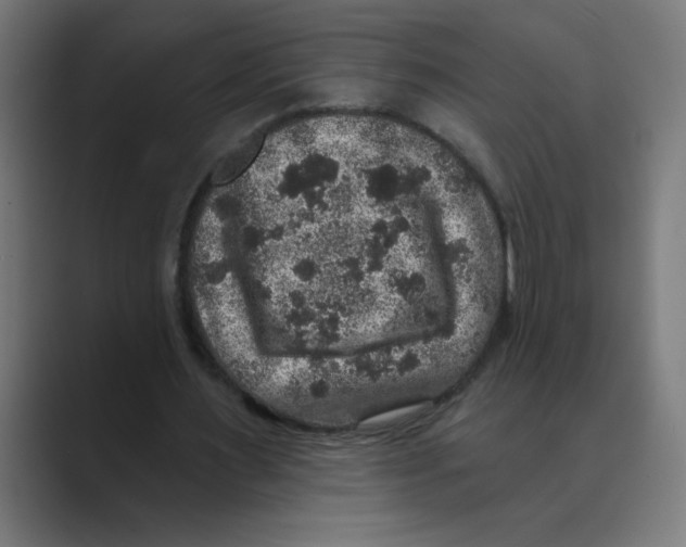 X0000088430483200706191237