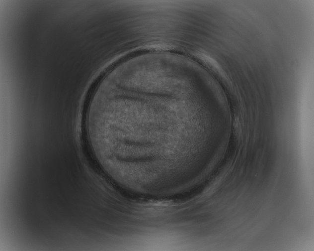 X0000088430484200706191237