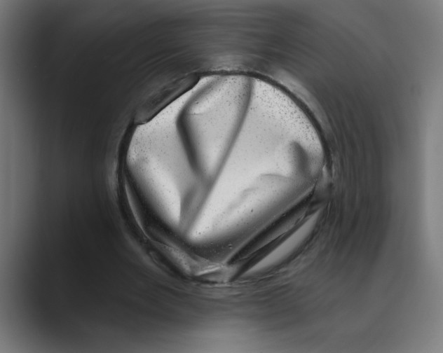 X0000088430485200706191237