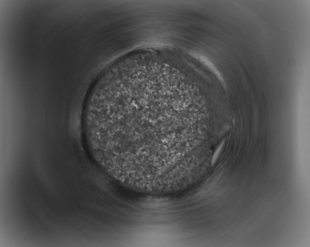 X0000088430487200706191237