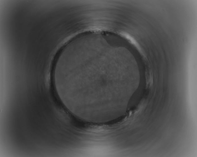 X0000088430488200706191237