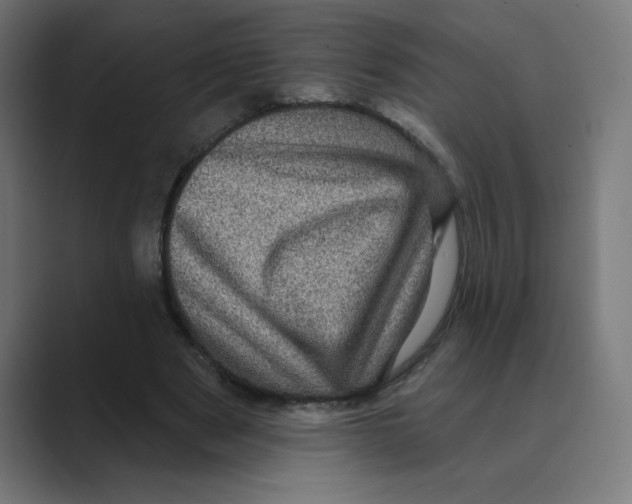 X0000088430489200706191237