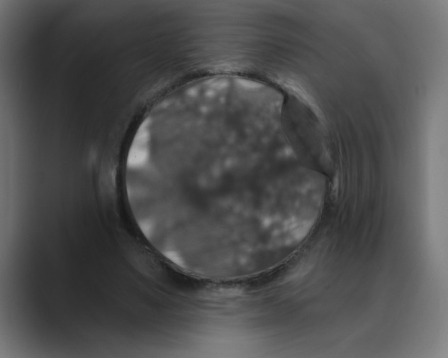 X0000088430491200706191237