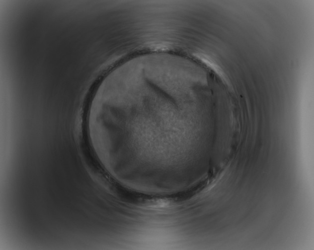 X0000088430492200706191237