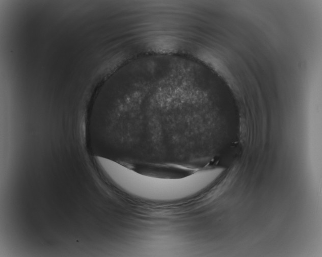 X0000088430493200706191237