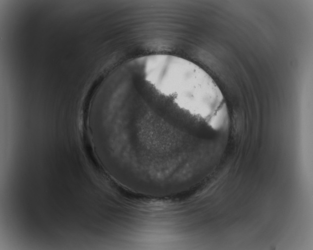 X0000088430494200706191237