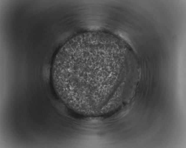 X0000088430495200706191237